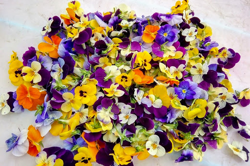 Ensalada de flores comestible – Recetario Cocina